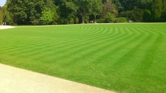 Nawóz Pure Strong Turf 10L Ca8%